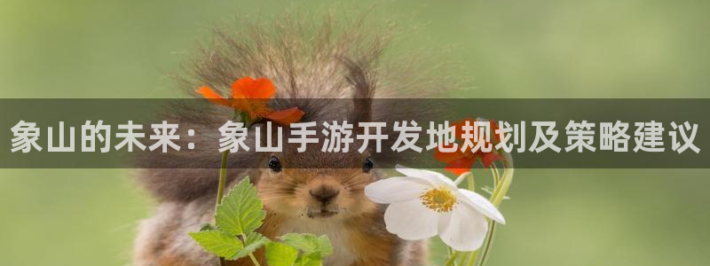 长运娱乐官网加拿大：象山的未来：象山手游开发地规划及策略建议