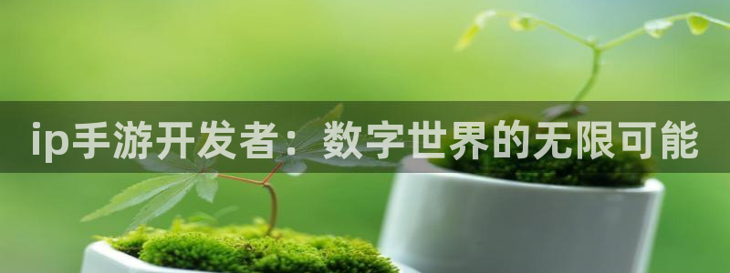 长运娱乐官网加拿大在线开奖：ip手游开发者：数字世界的无限可