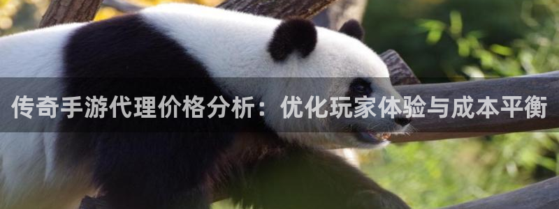 长运娱乐官网软件不能用了：传奇手游代理价格分析：优化玩家体验