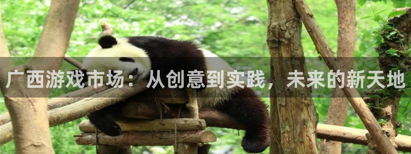 长运娱乐官网吧怎么进不去了：广西游戏市场：从创意到实践，未来