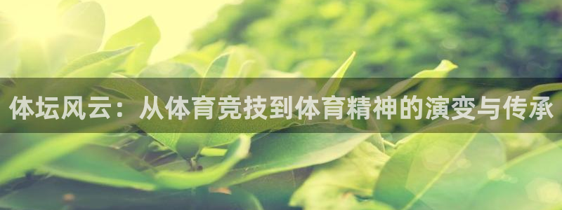 k1体育娱乐：体坛风云：从体育竞技到体育精神的演变与传承