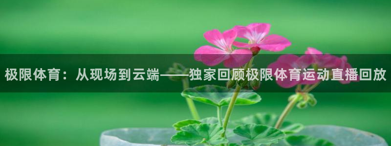k1体育网址