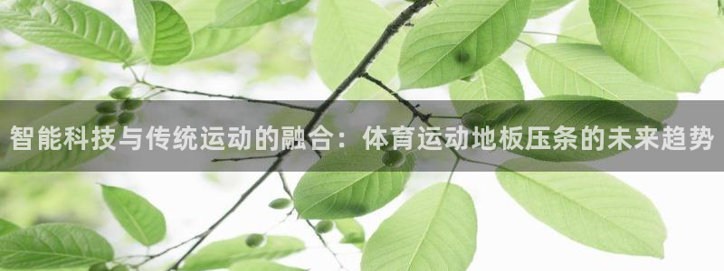 k1体育链接多少