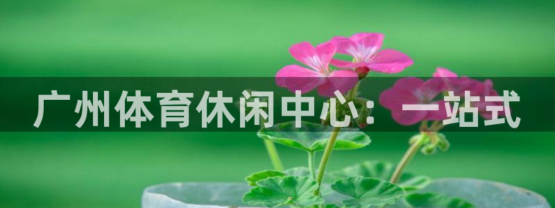 k1体育app下载链接：广州体育休闲中心：一站式