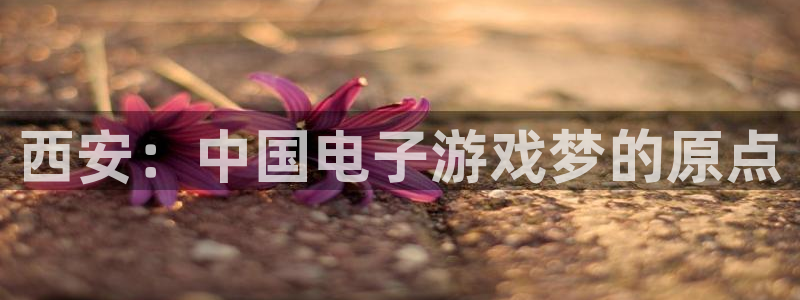 长运娱乐官网：西安：中国电子游戏梦的原点